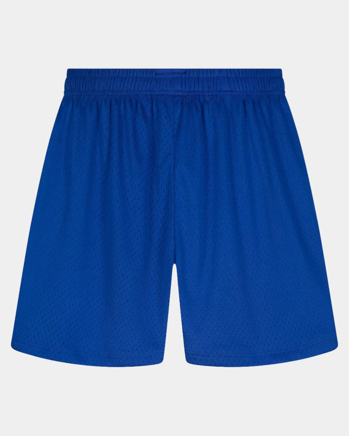 Blue shorts on a white background