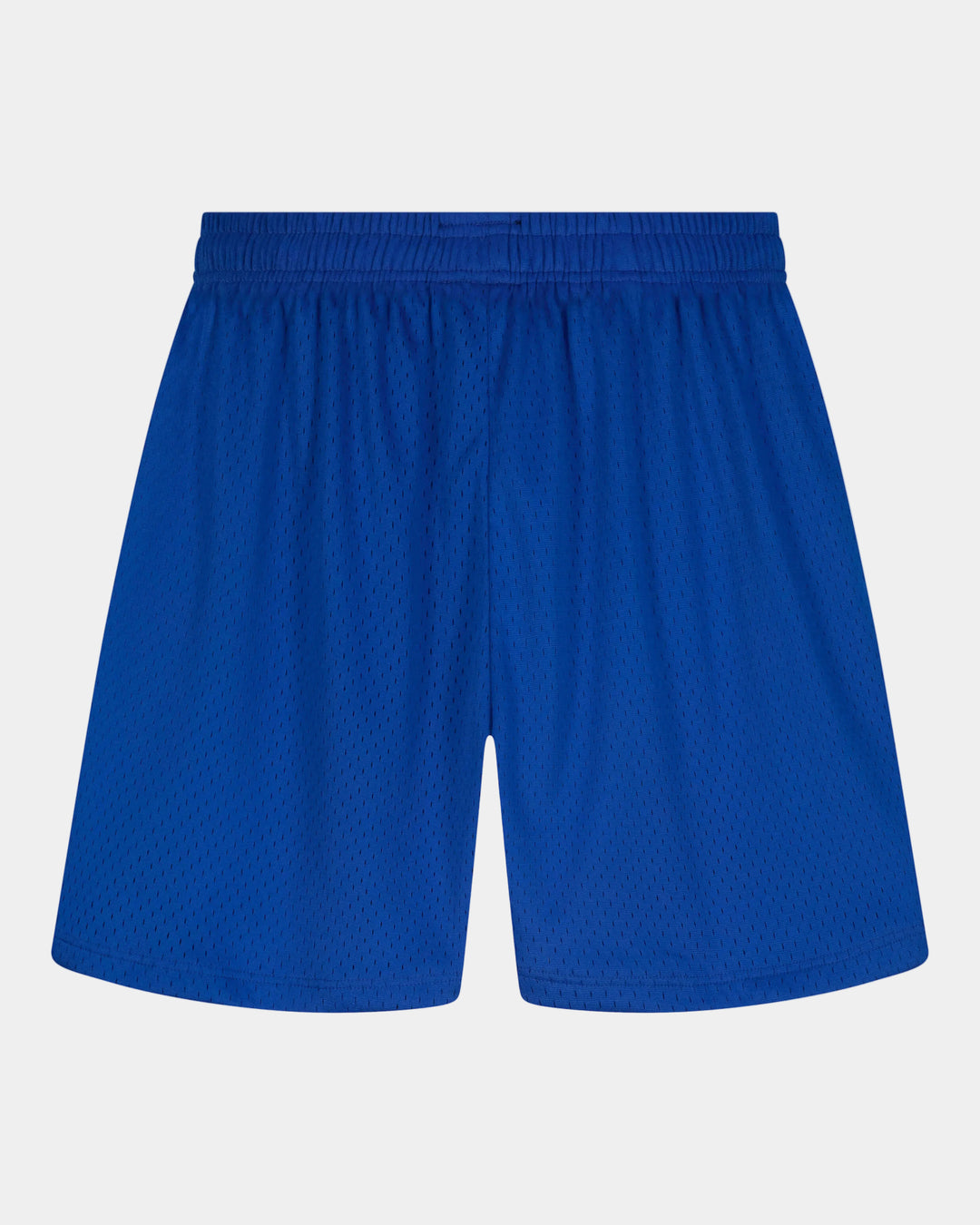 Everyday Mesh Shorts - Blue (Baggy)
