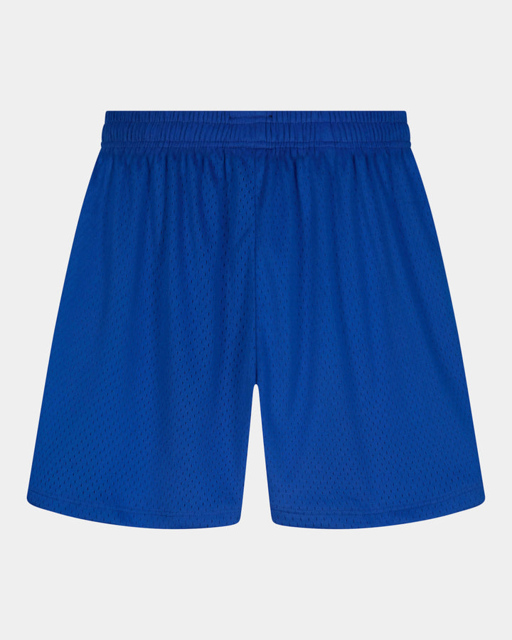 Everyday Mesh Shorts - Blue (Baggy)